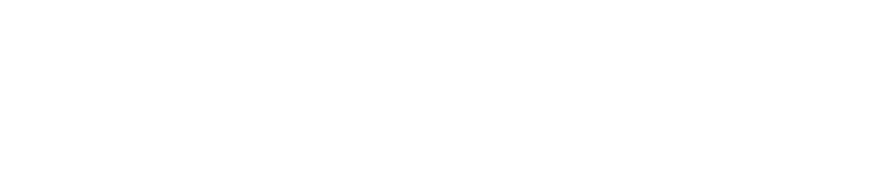 CleanVista Services LLC logo white
